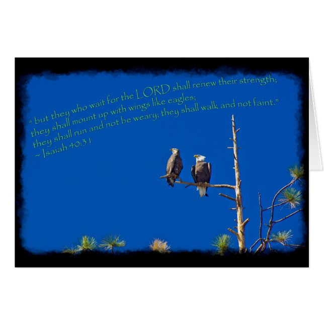 Isaiah 40:31 Black Edge (Front Horizontal)
