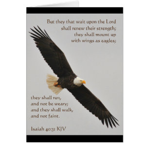 Isaiah 40:31 But they that wait upon the Lord