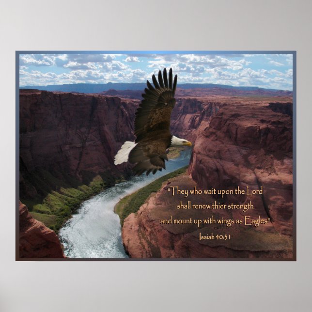 Isaiah 40:31 Eagle Scripture Poster Print (Front)