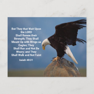 Isaiah 40:31  Mount Up on Eagle Wings Postcard