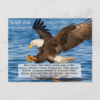 Isaiah 40:31 Mount Up on Eagle Wings Postcard