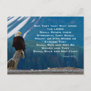 Isaiah 40:31  Mount Up on Eagle Wings Postcard