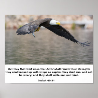 Isaiah 40:31 Mount Up With Wings As Eagles Poster