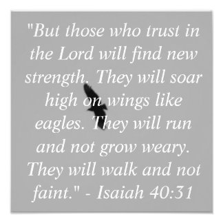 Isaiah 40:31 Photo