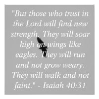 Isaiah 40:31 Photo