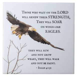 Soar Like An Eagle Quote Gifts Gift Ideas Zazzle Uk