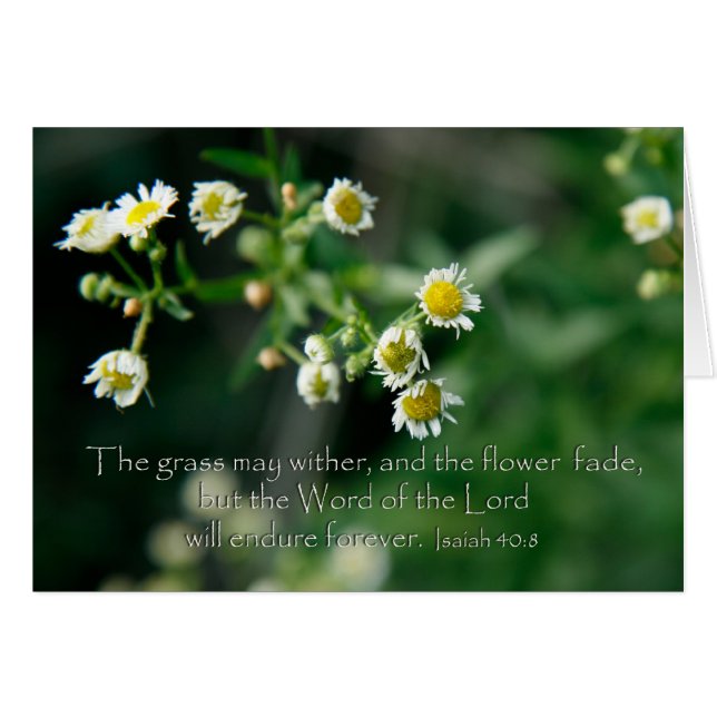 Isaiah 40:8 The grass may wither and fade (Front Horizontal)