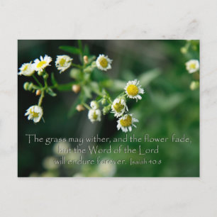 Isaiah 40:8 The grass may wither and fade Postcard