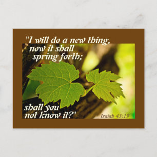 Isaiah 43:19 Bible Verse I will do a new thing Postcard