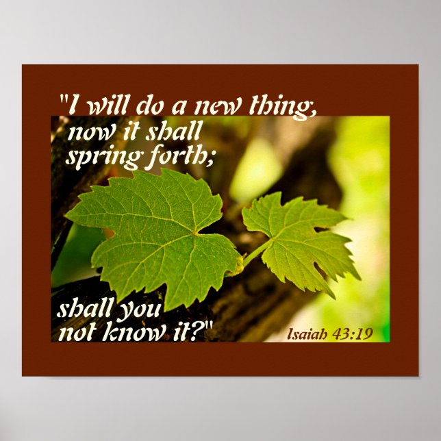 Isaiah 43:19 Bible Verse, I will do a new thing Poster (Front)