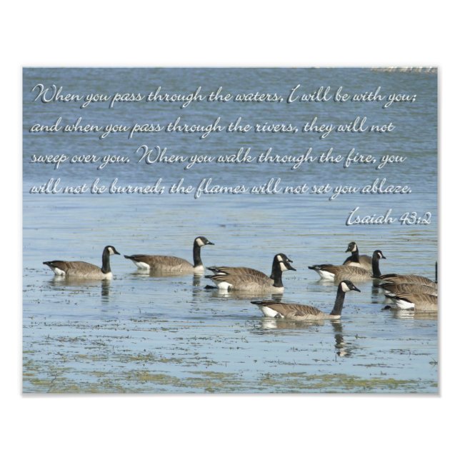 Isaiah 43:2 Bible Verse with Swimming Geese Photo Print (Front)