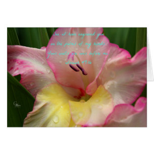 Isaiah 49:16 Pink Raindrop Gladiolus Card