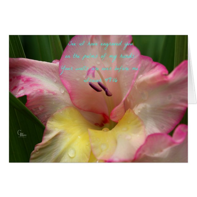 Isaiah 49:16 Pink Raindrop Gladiolus Card (Front Horizontal)