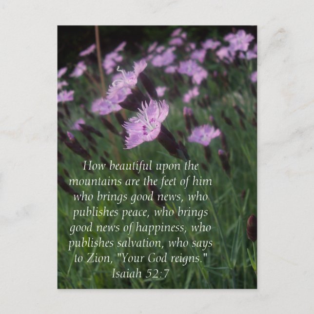 Isaiah 52:7 postcard (Front)