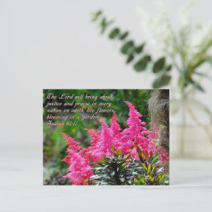 Isaiah 61:11 Pink Floral Inspirational Postcard