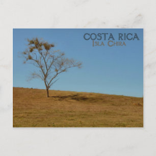 Isla de Chira Postcard