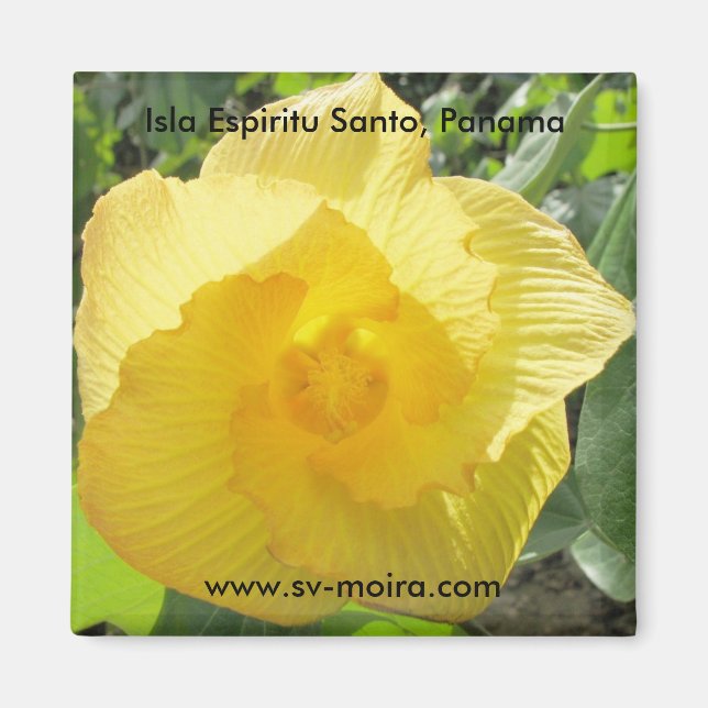 Isla Espiritu Santo, Islas las Perlas, Panama Magnet (Front)