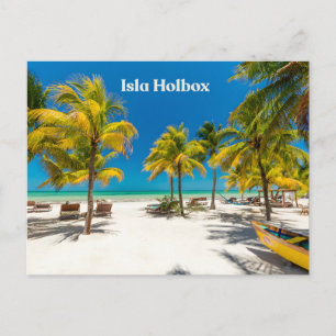 Isla Holbox Mexico Beautiful Beach with Palms Postcard