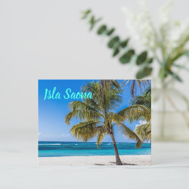 Isla Saona Beach Domenican Republic gift Holiday Postcard (Standing Front)