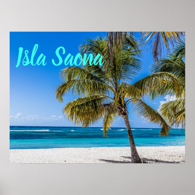 Isla Saona Beach Domenican Republic gift Poster (Front)