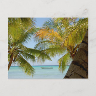 Isla Saona (Island) Dominican Republic Post Card