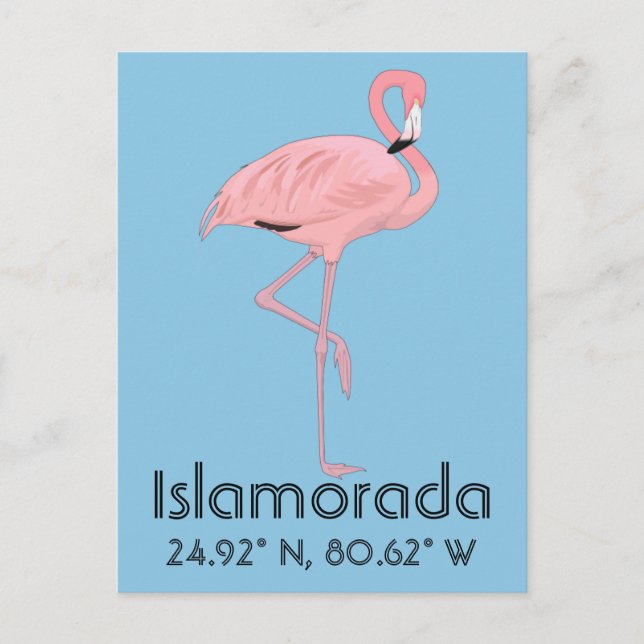 Islamorada FL Keys Flamingo Latitude Longitude Postcard (Front)