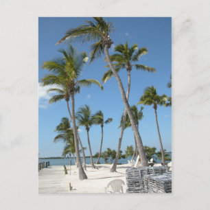 Islamorada Florida Beach Postcard