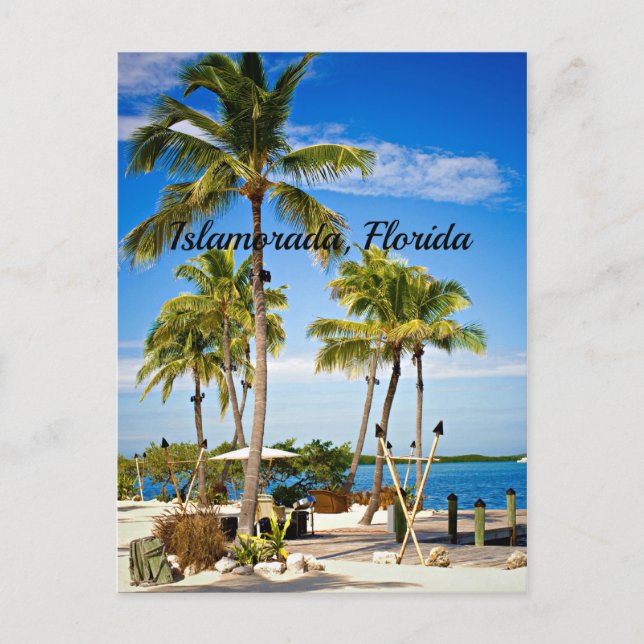 Islamorada, Florida Palm Trees Postcard (Front)