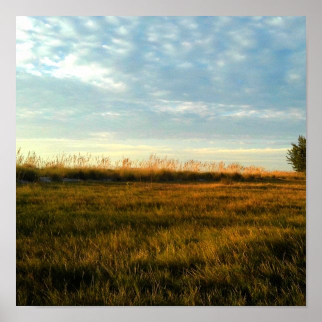 Island Grass Poster (Front)