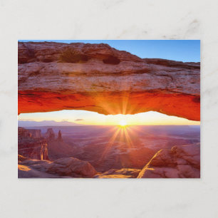 Island in the Sky Postcard