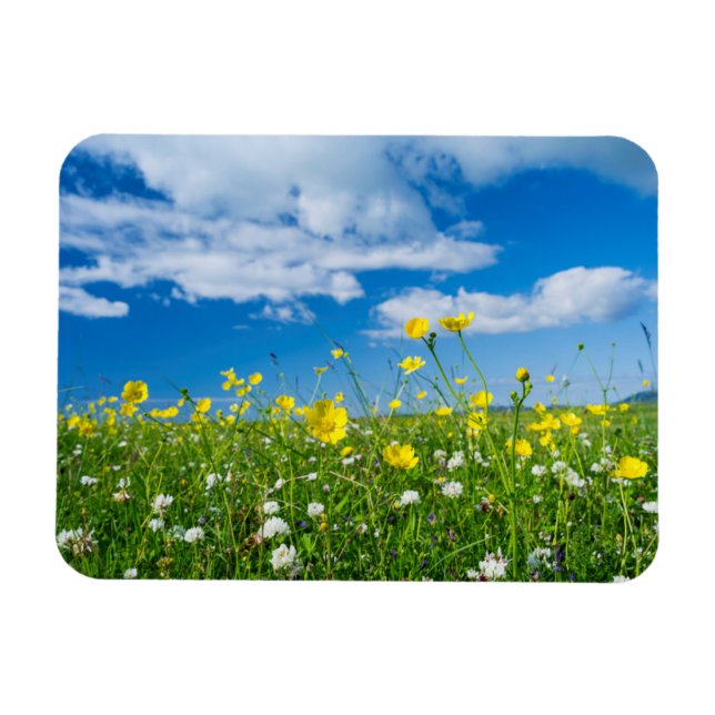 island of South Uist | Scotland Magnet (Horizontal)