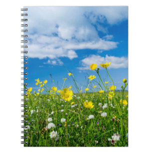 island of South Uist Scotland Notebook