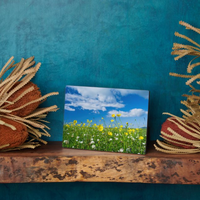 island of South Uist | Scotland Plaque (Side)