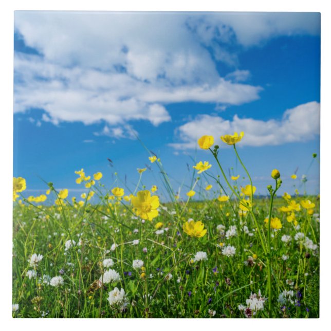 island of South Uist | Scotland Tile (Front)