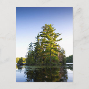 Island on Lake Long Pond Postcard