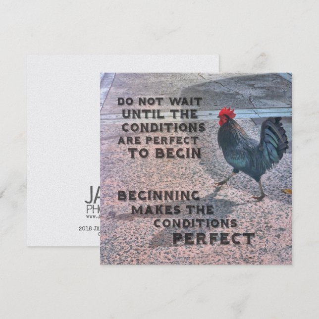ISLAND STRUTTER 5.25 x 5.25 card (Front/Back)