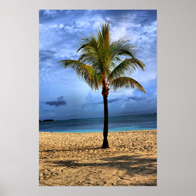 Island Tree Poster (Front)