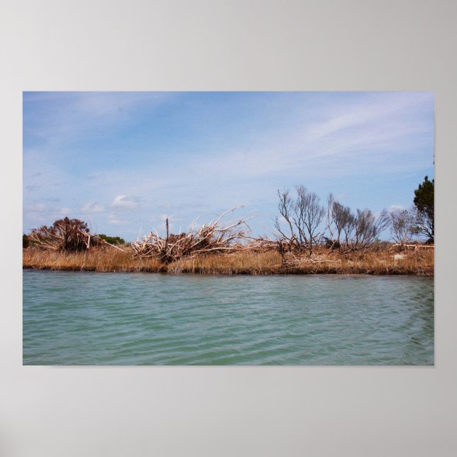 Island Vegetation 1 Poster (Front)