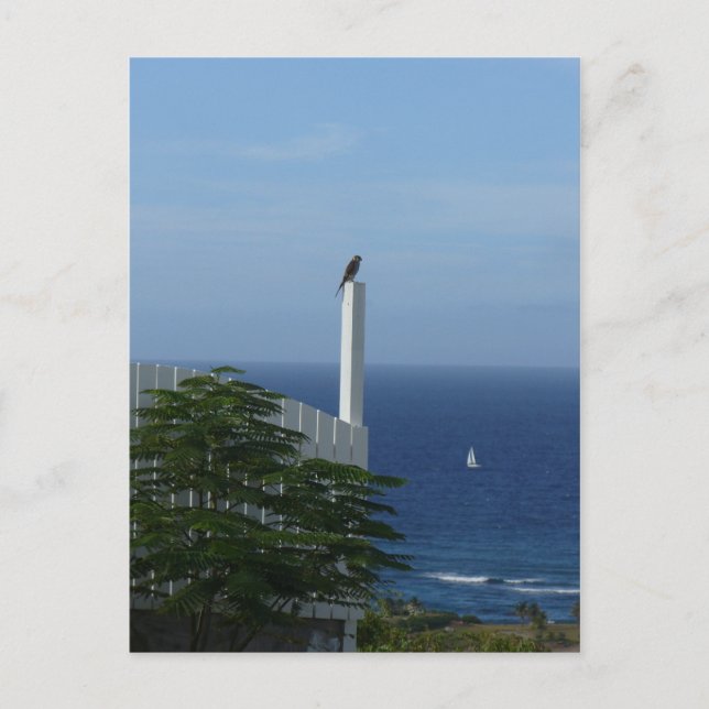 Island View Postcard (Front)
