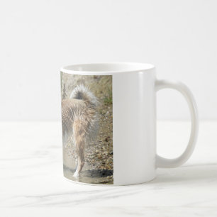 Islandhund Coffee Mug