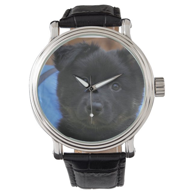 Islandhund - Icelandic Sheepdog Watch (Front)