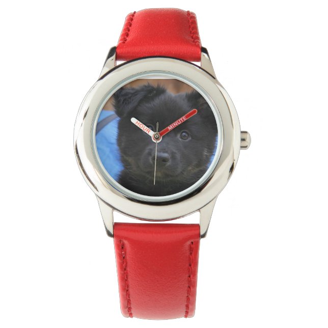 Islandhund - Icelandic Sheepdog Watch (Front)