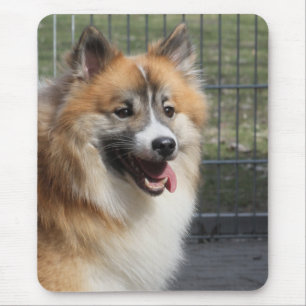 Islandhund Mouse Mat