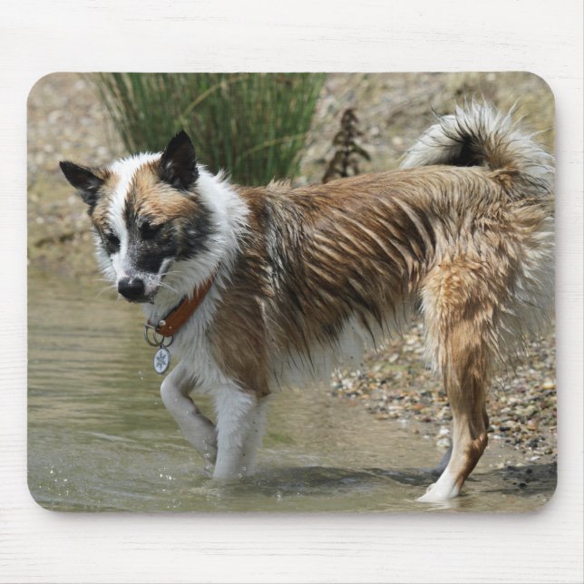 Islandhund Mouse Mat (Front)