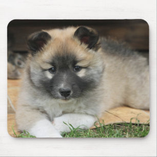 Islandhund Mouse Mat