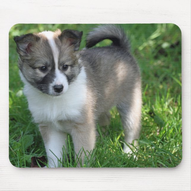 Islandhund Mouse Mat (Front)