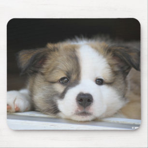 Islandhundewelpe Mouse Mat