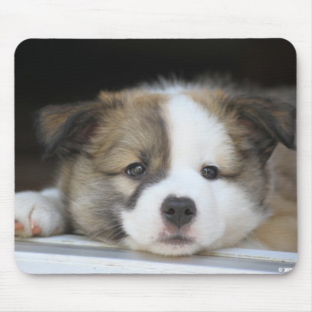 Islandhundewelpe Mouse Mat (Front)