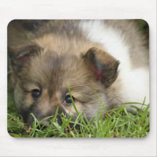 Islandhundewelpe Mouse Mat