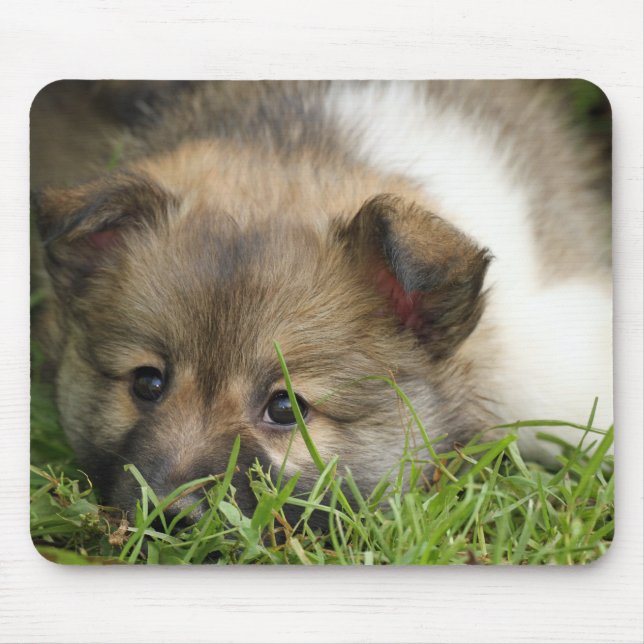 Islandhundewelpe Mouse Mat (Front)